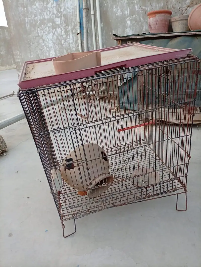 Birds cages 3 cages — photo 4