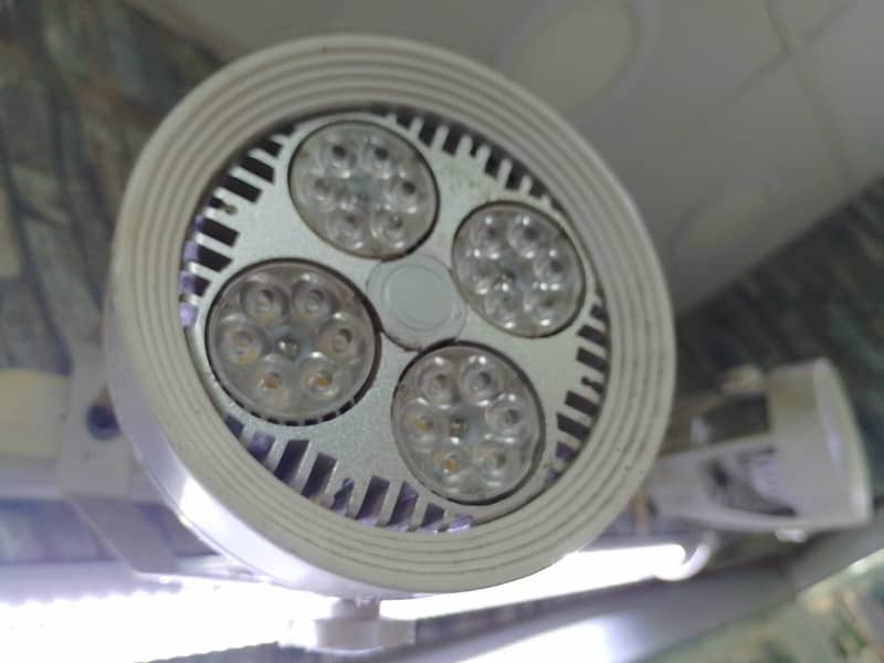 Focus lights 4