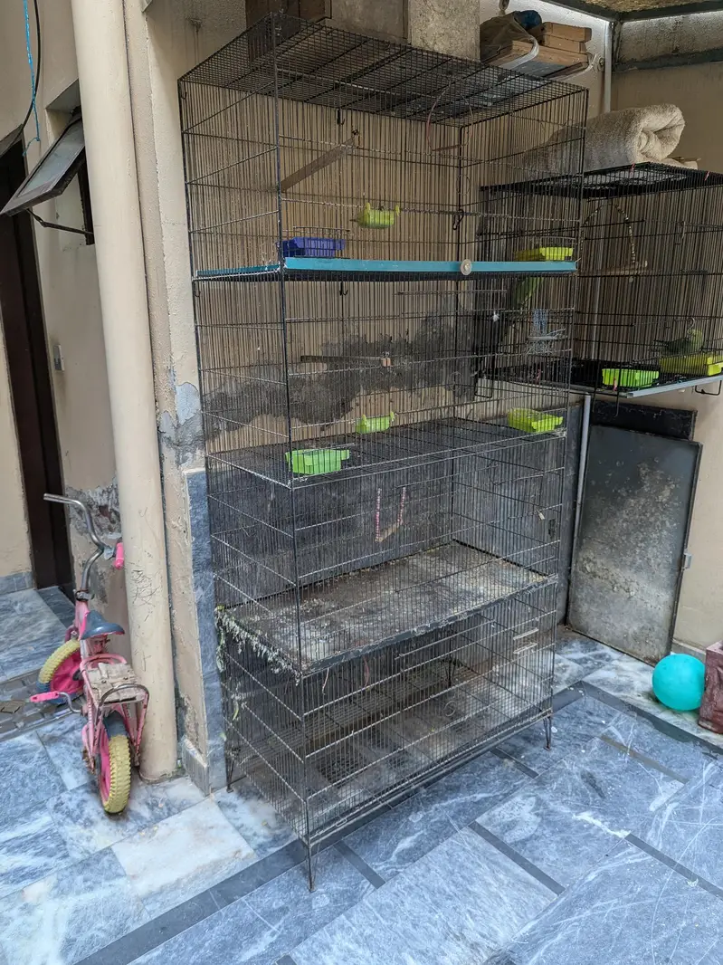 Iron Cage for Birds — photo 5