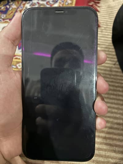 Apple iPhone 12 Pro Max JV