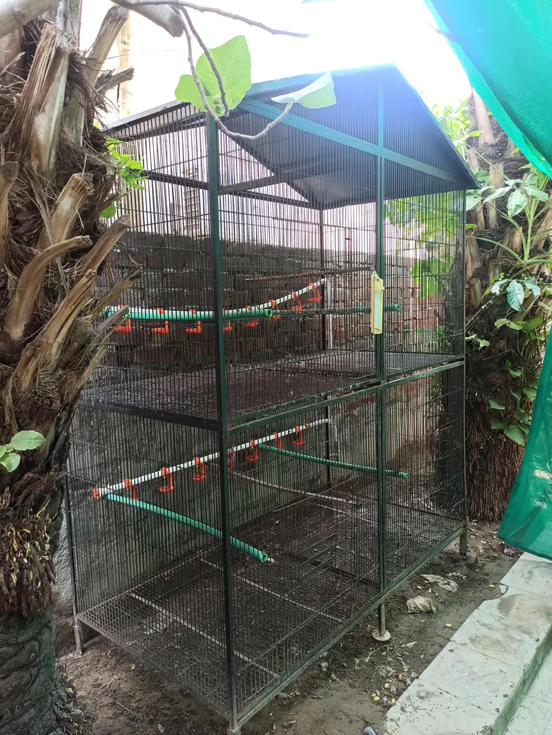 Bird/hen cage (pinjra) — photo 3