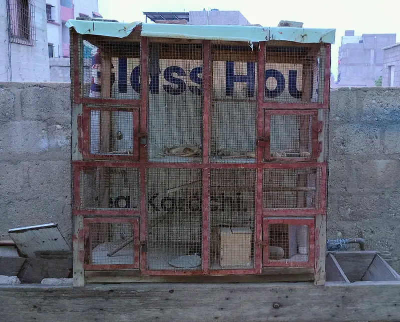 big and small cages
