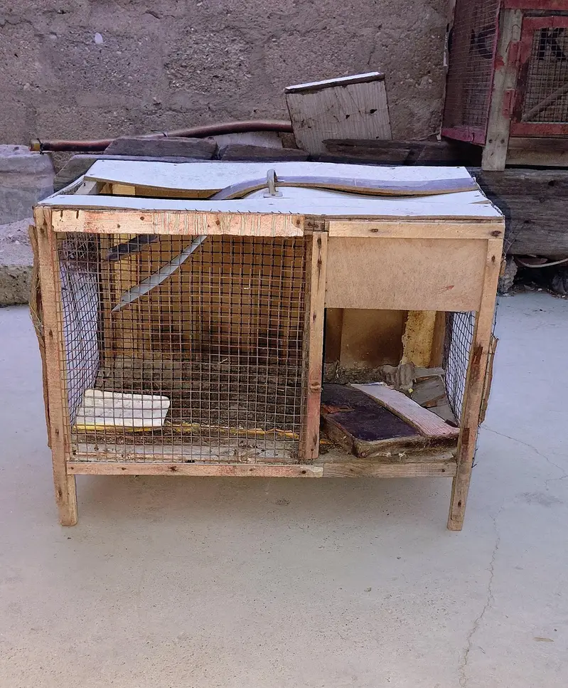 big and small cages — photo 9