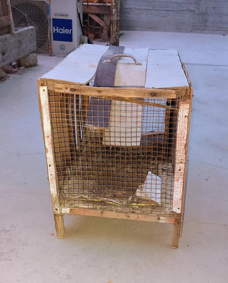 big and small cages — photo 10