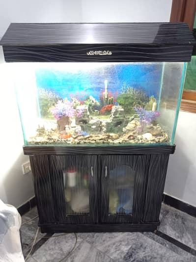 3 ft aquarium