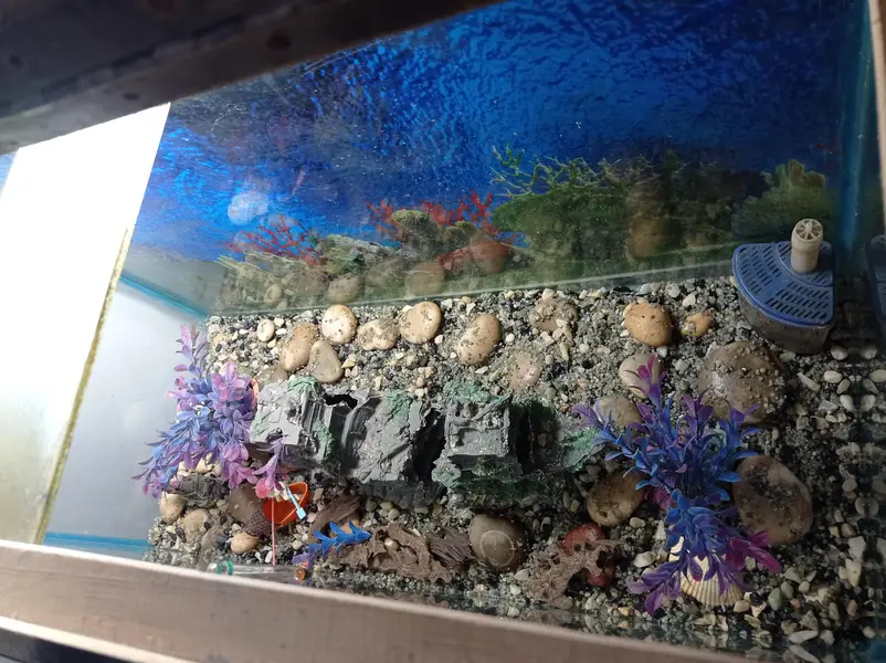 3 ft aquarium — photo 3