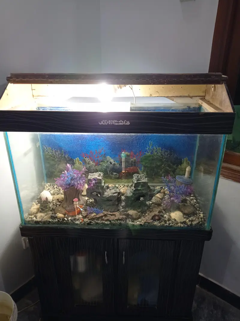 3 ft aquarium — photo 4