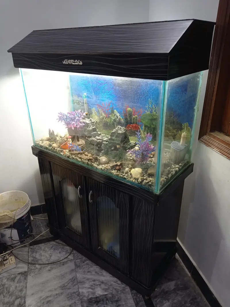 3 ft aquarium — photo 5