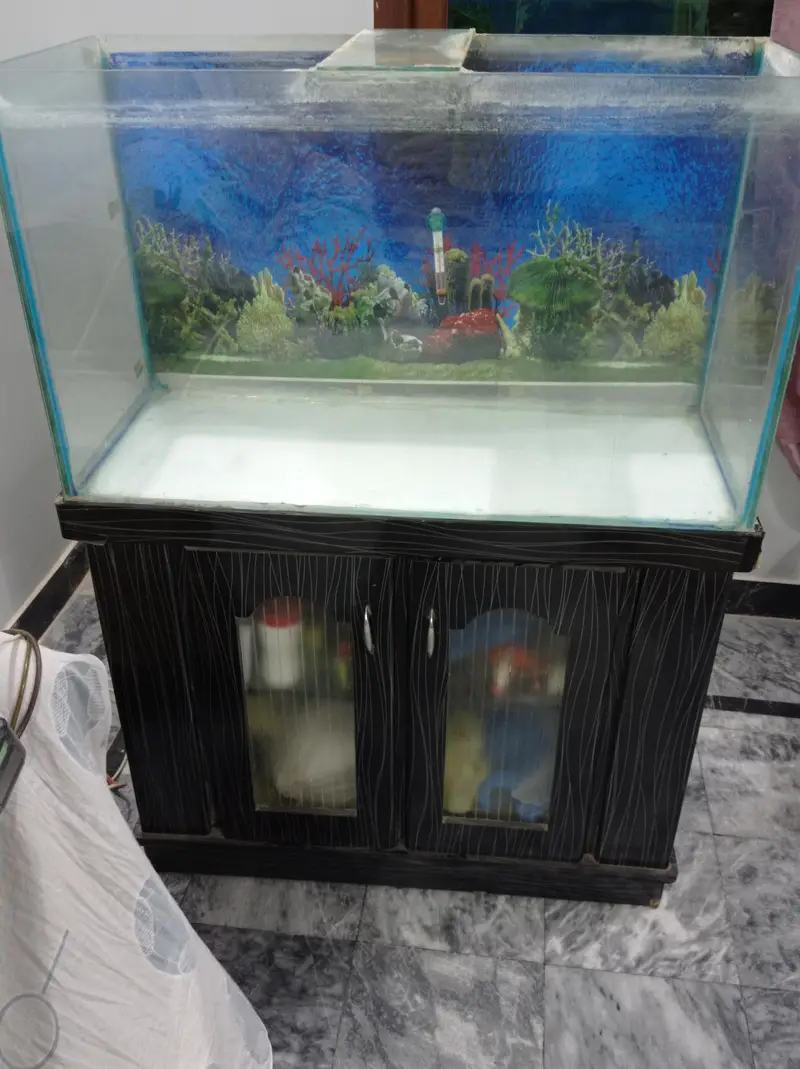 3 ft aquarium — photo 6