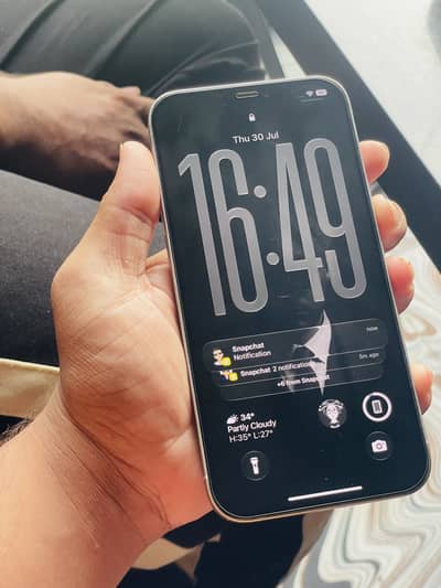 Apple iPhone 12 Pro Max