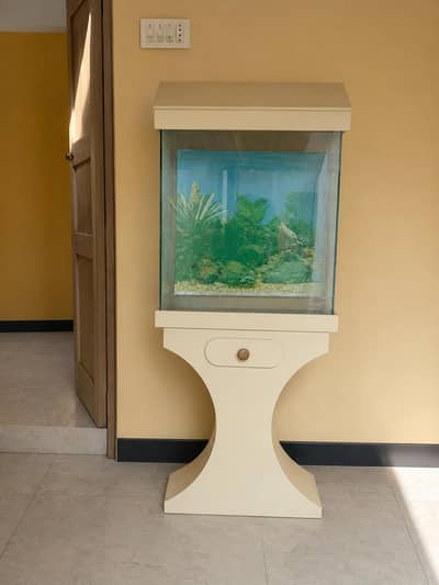 aquarium