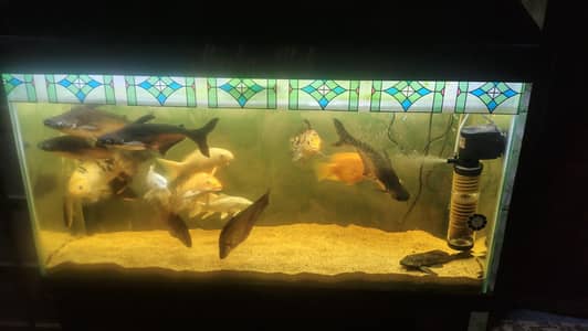 Aquarium