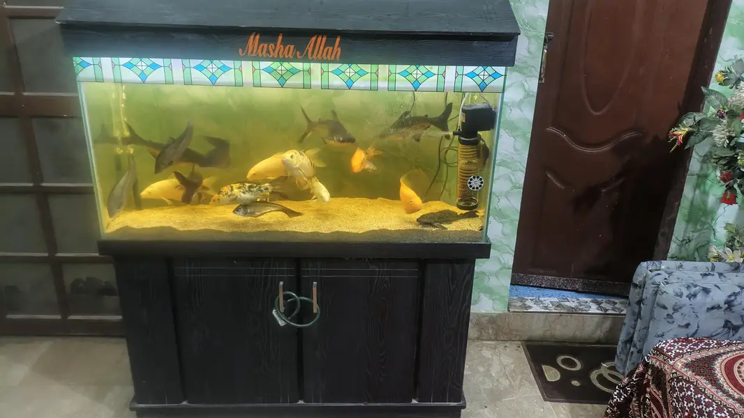 Aquarium — photo 2