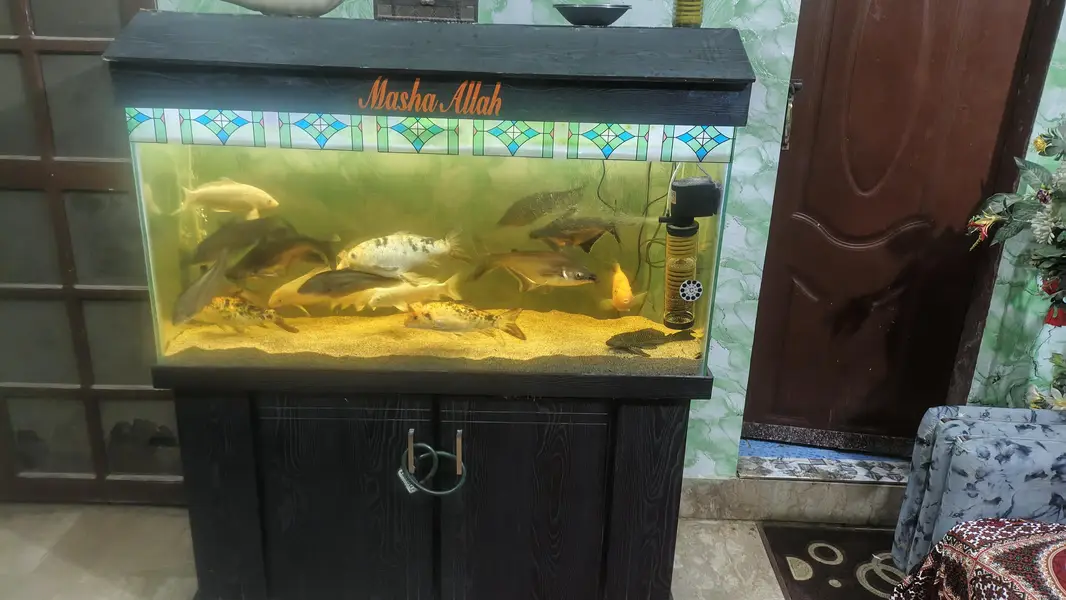 Aquarium — photo 3