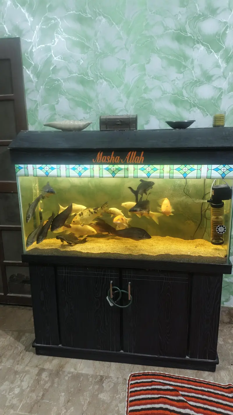 Aquarium — photo 4