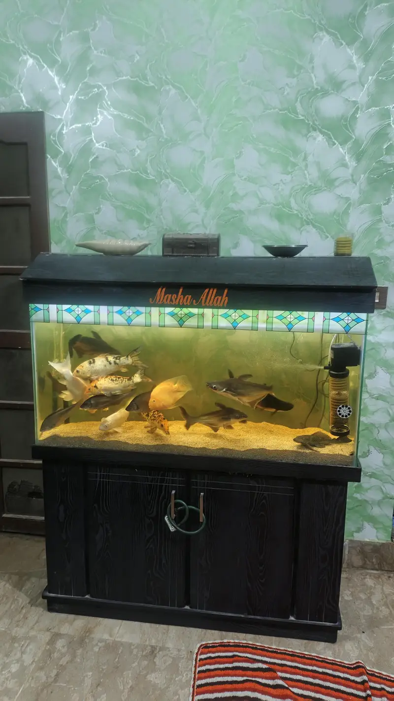Aquarium — photo 6