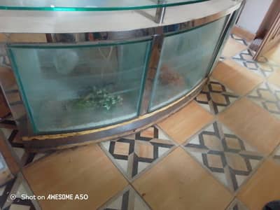 Fish Aquarium