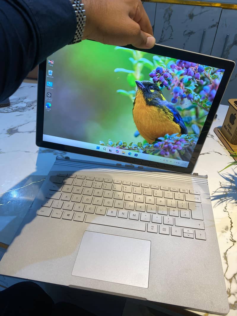 mscbook2 3