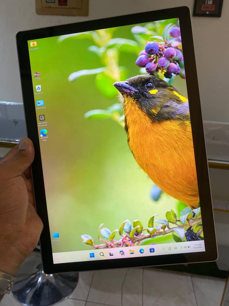 mscbook2 7