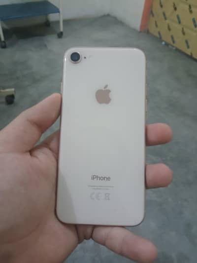 Apple iPhone 8 golden color 10 by 10 condition read add