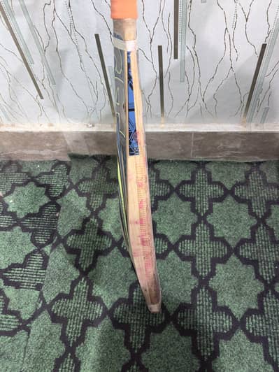 Cricket bat