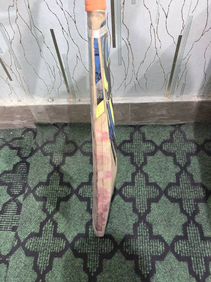 Cricket bat 1