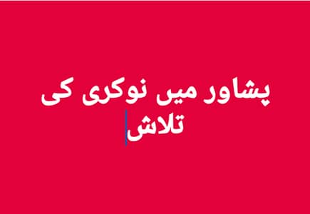 Need Any  Job