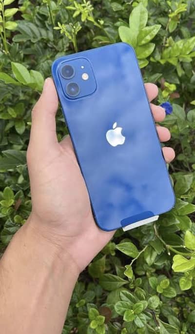 Apple iPhone 12