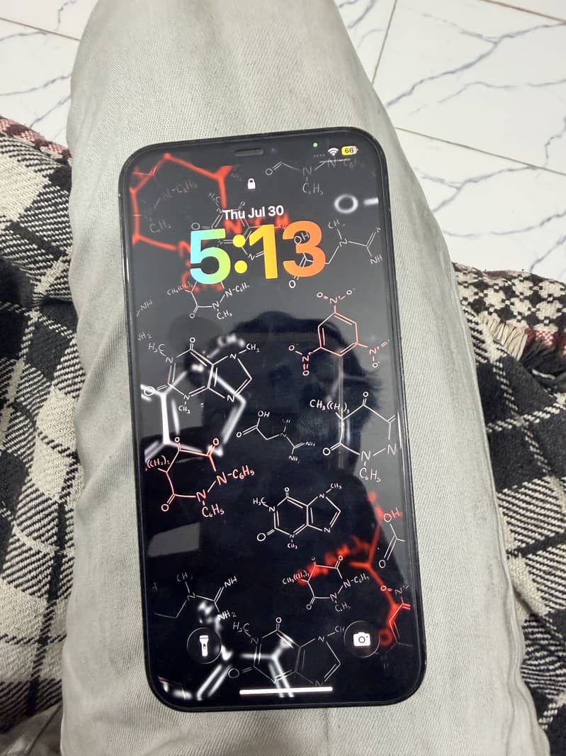 Apple iPhone 12 Pro Max 2