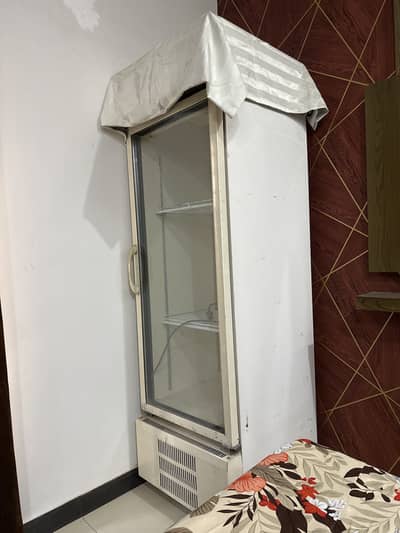 Glass fridge for shop