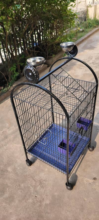 parrot cage for sale