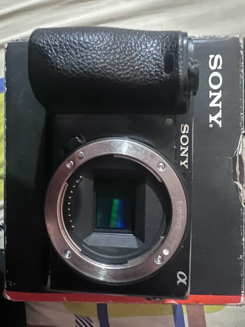 Sony 6500 mirrorless camera 2