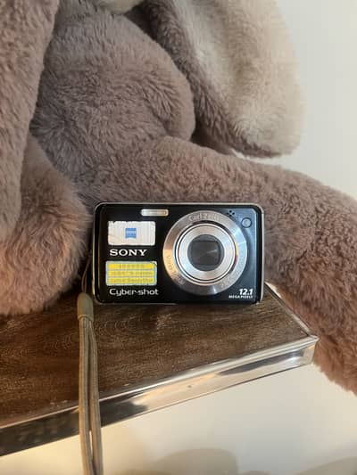 Sony Cybershot DSC W220 Optical Steadyshot