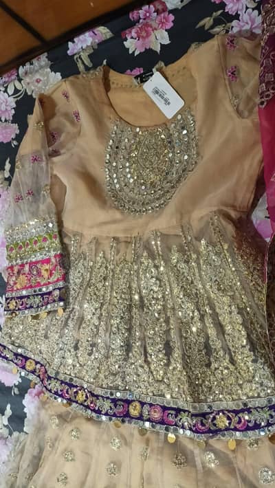 Beautiful Chiffon \& Organza Sharara Dress