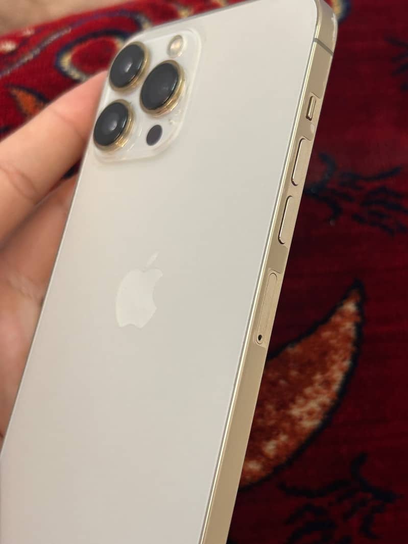 Apple iPhone 13 Pro Max 1