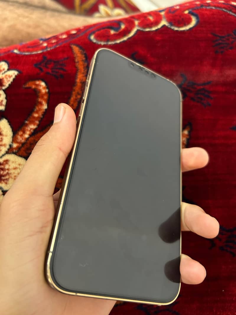 Apple iPhone 13 Pro Max 2