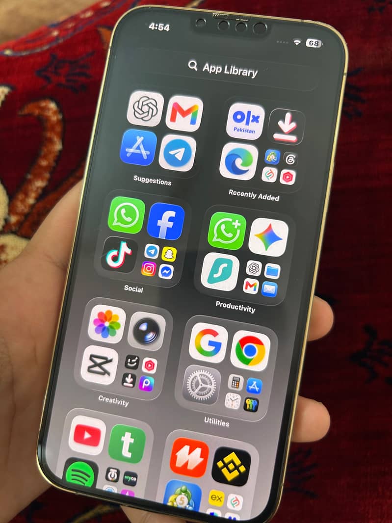 Apple iPhone 13 Pro Max 3