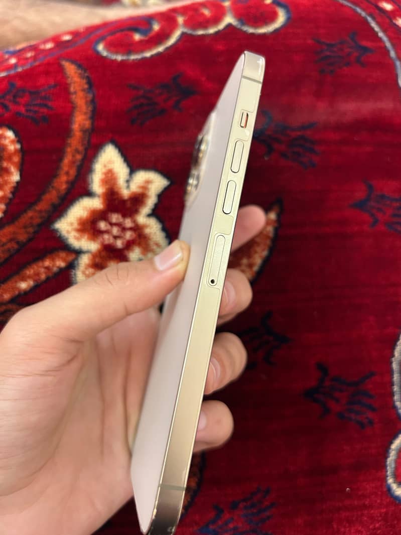 Apple iPhone 13 Pro Max 4