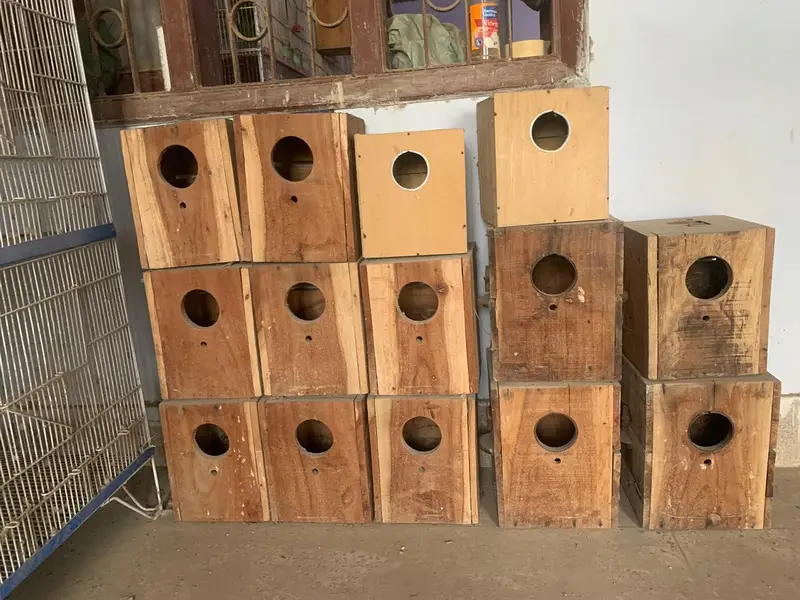 Birds cages for sale — photo 3