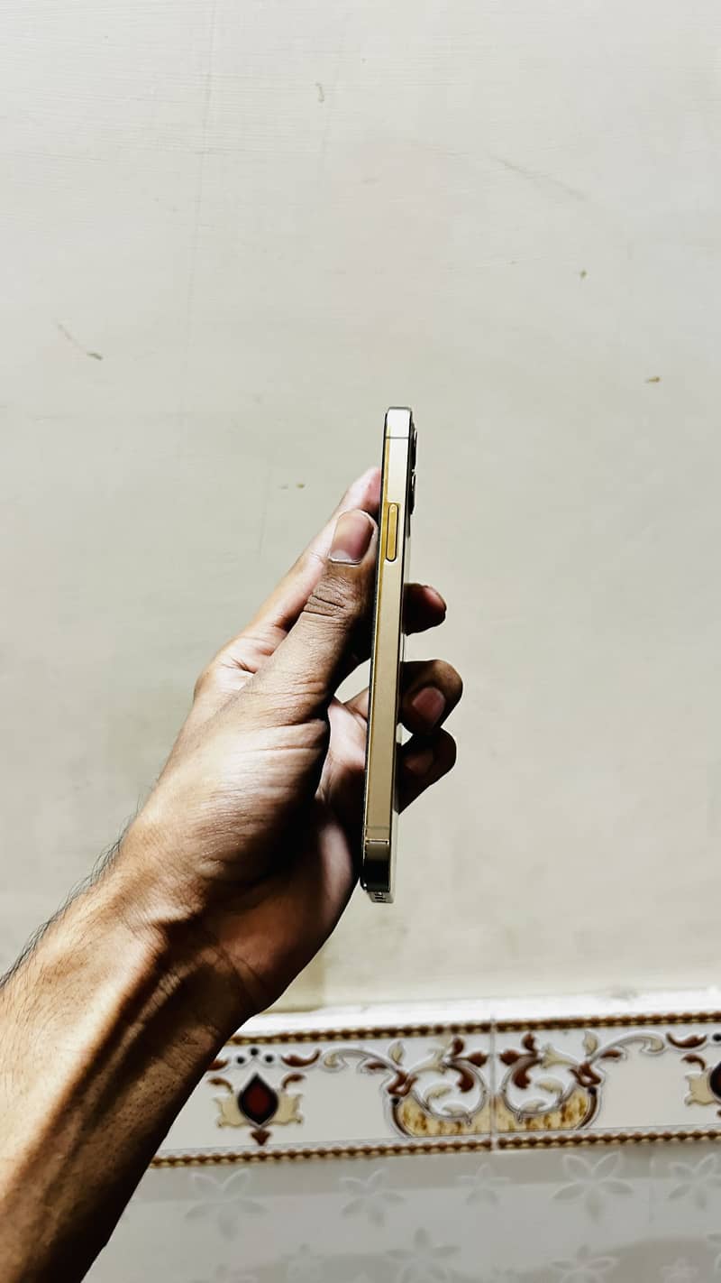 Apple iPhone 12 Pro 1