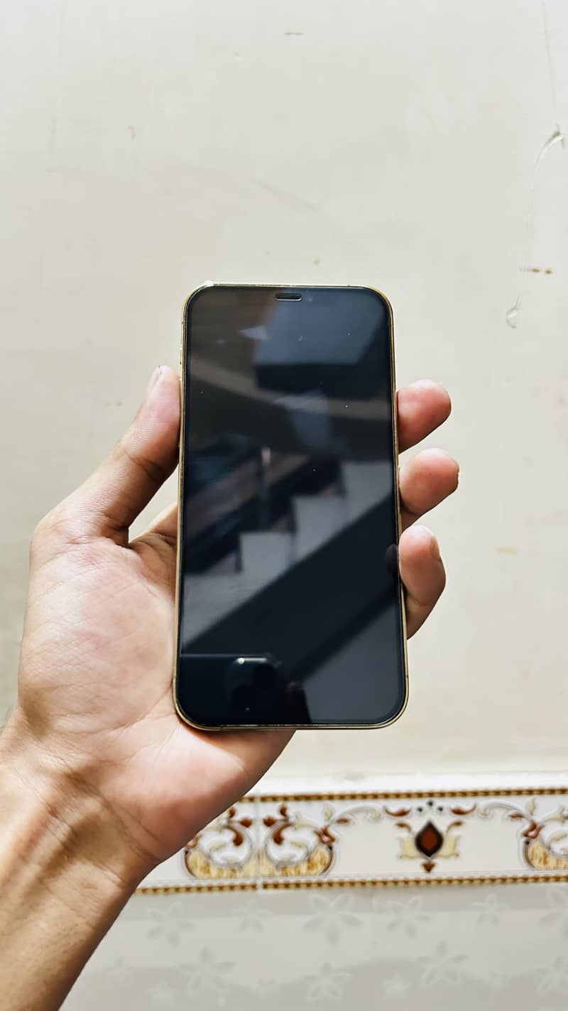 Apple iPhone 12 Pro 6