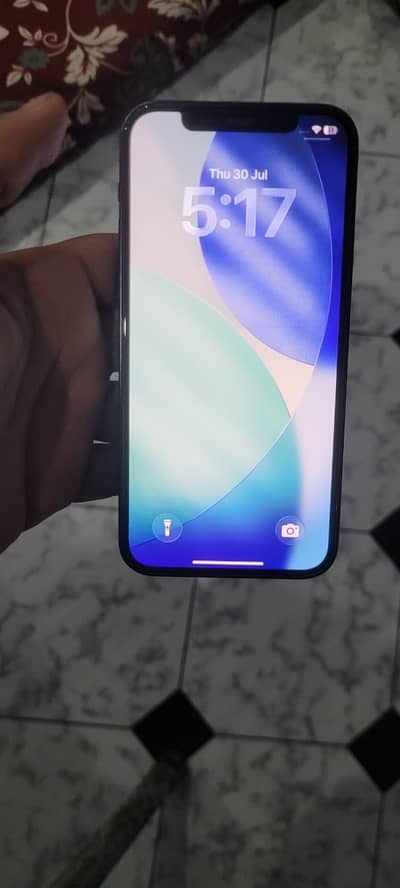Apple iPhone 12