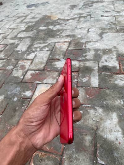 Apple iPhone 11 (Exchange possible)