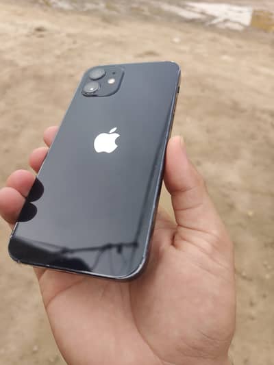 Apple iPhone 12