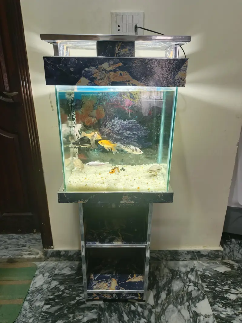 1.5×1×2 ft aquarium excellent condition with 9 fish and 2 turtle — photo 2