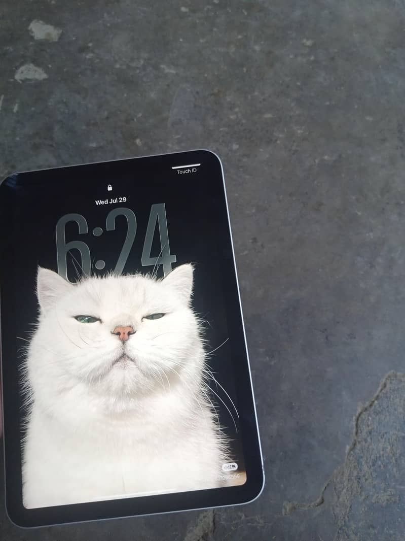 ipad mini 6 0