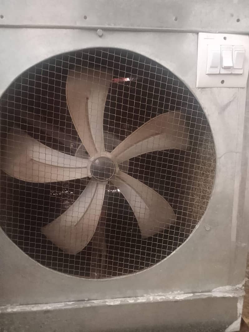 3 month use only 0