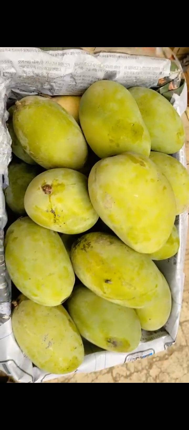 mango 0