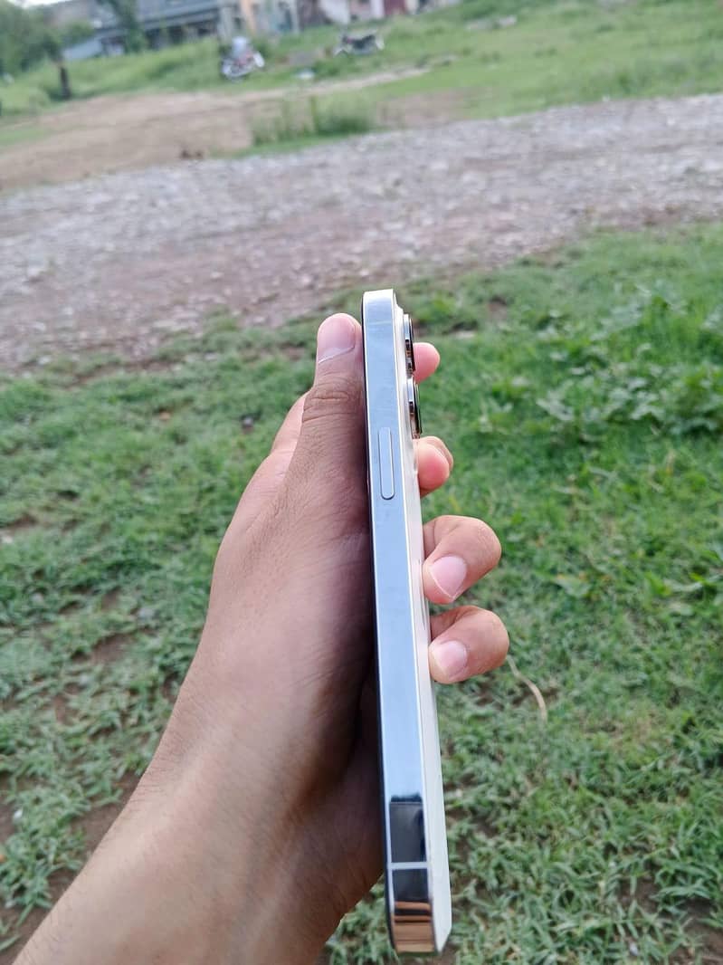 Apple iPhone 13 Pro 6