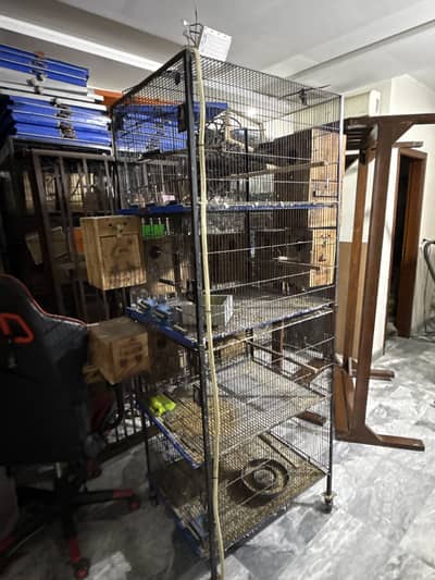 4-Tier Bird Breeding Cage – Heavy Duty | Lovebirds, Budgies